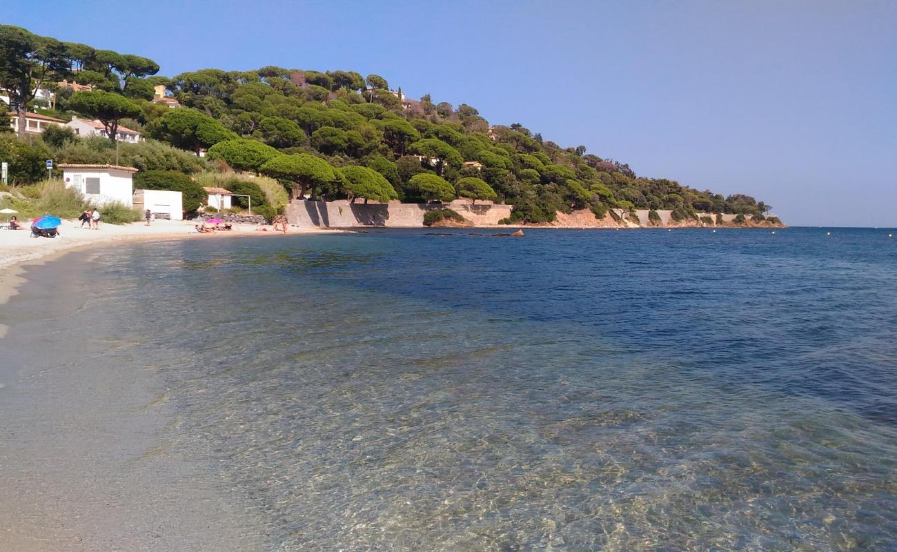 Photo de Madrague beach avec sable beige de surface
