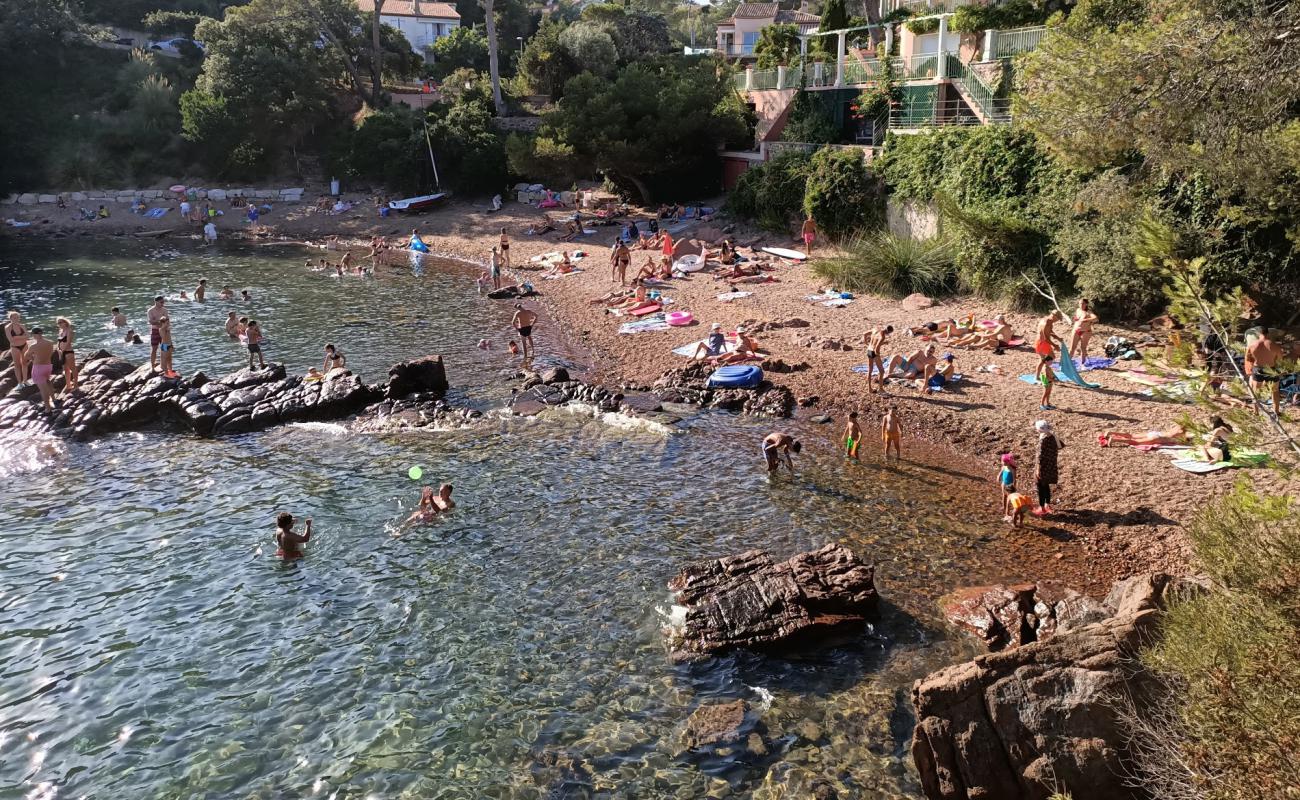 Photo de Plage du Fournas avec caillou brun de surface