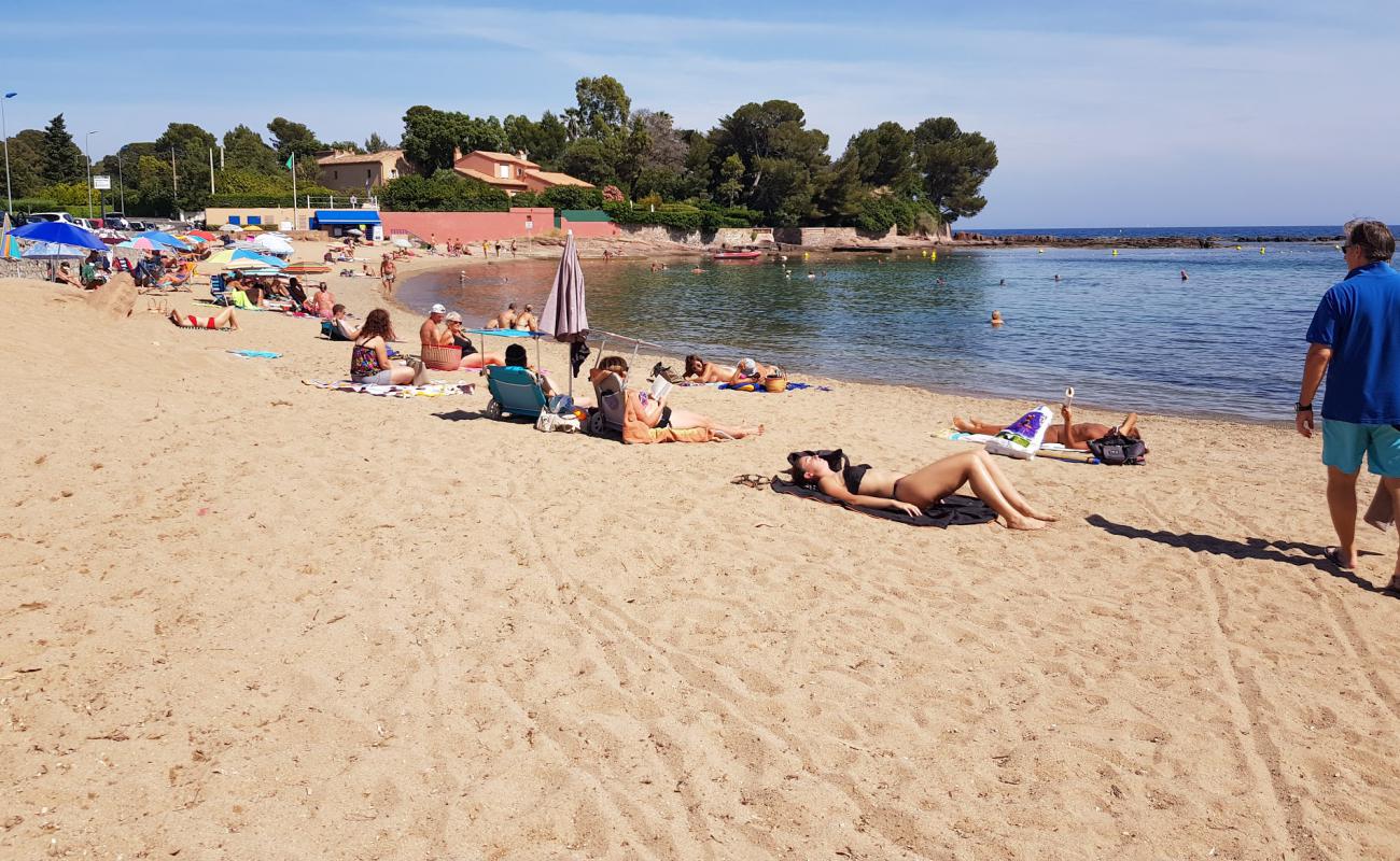 Photo de Plage de la Peguiere avec sable lumineux de surface