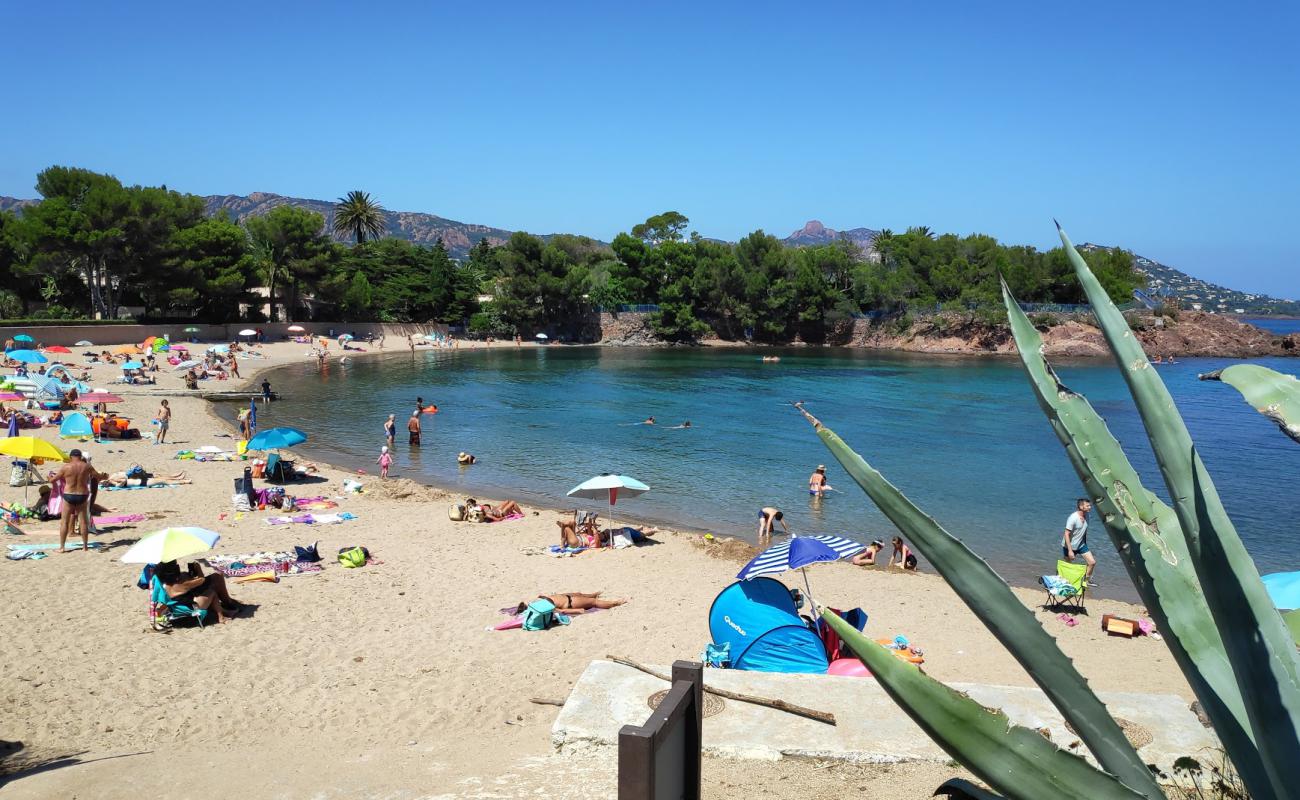 Photo de Plage de Camp Long avec sable lumineux de surface