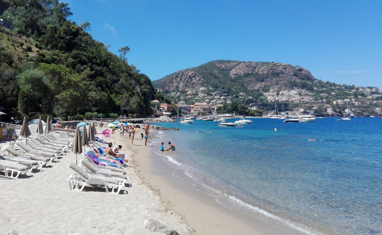 Photo de Petite Fontaine beach avec sable fin et lumineux de surface