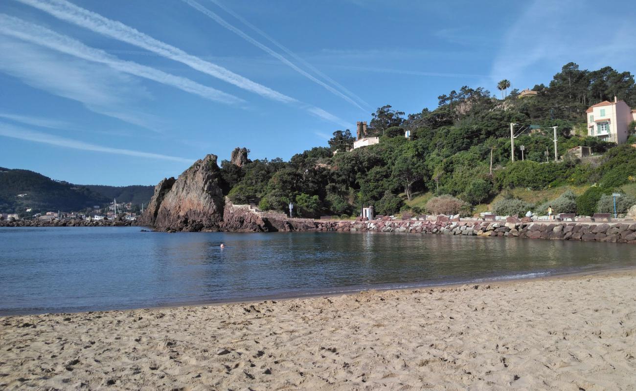 Photo de Plage de la Raguette avec sable fin et lumineux de surface