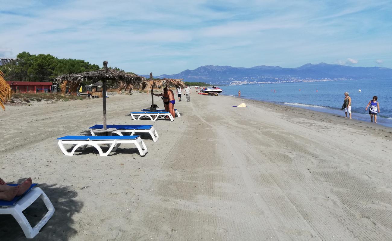 Photo de Plage de Borgo avec sable lumineux de surface