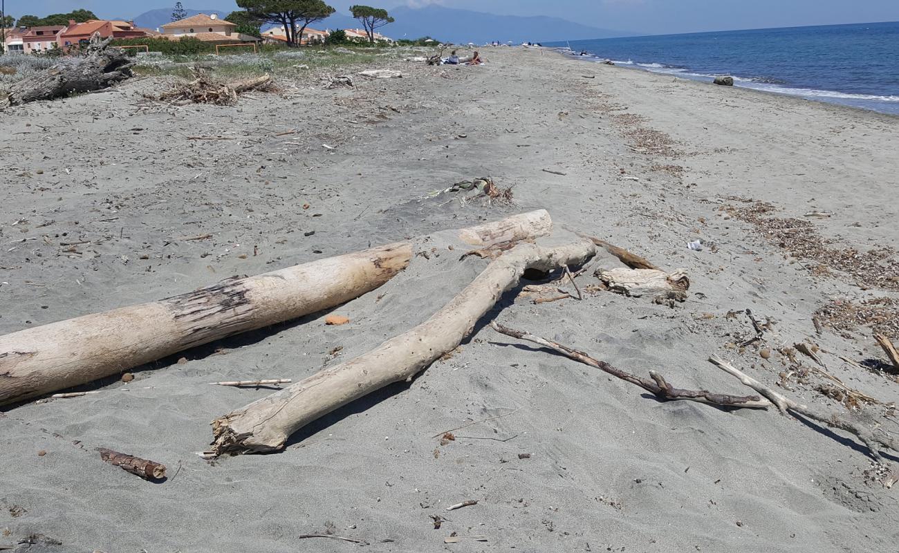 Photo de Plage de la Marana avec sable beige de surface