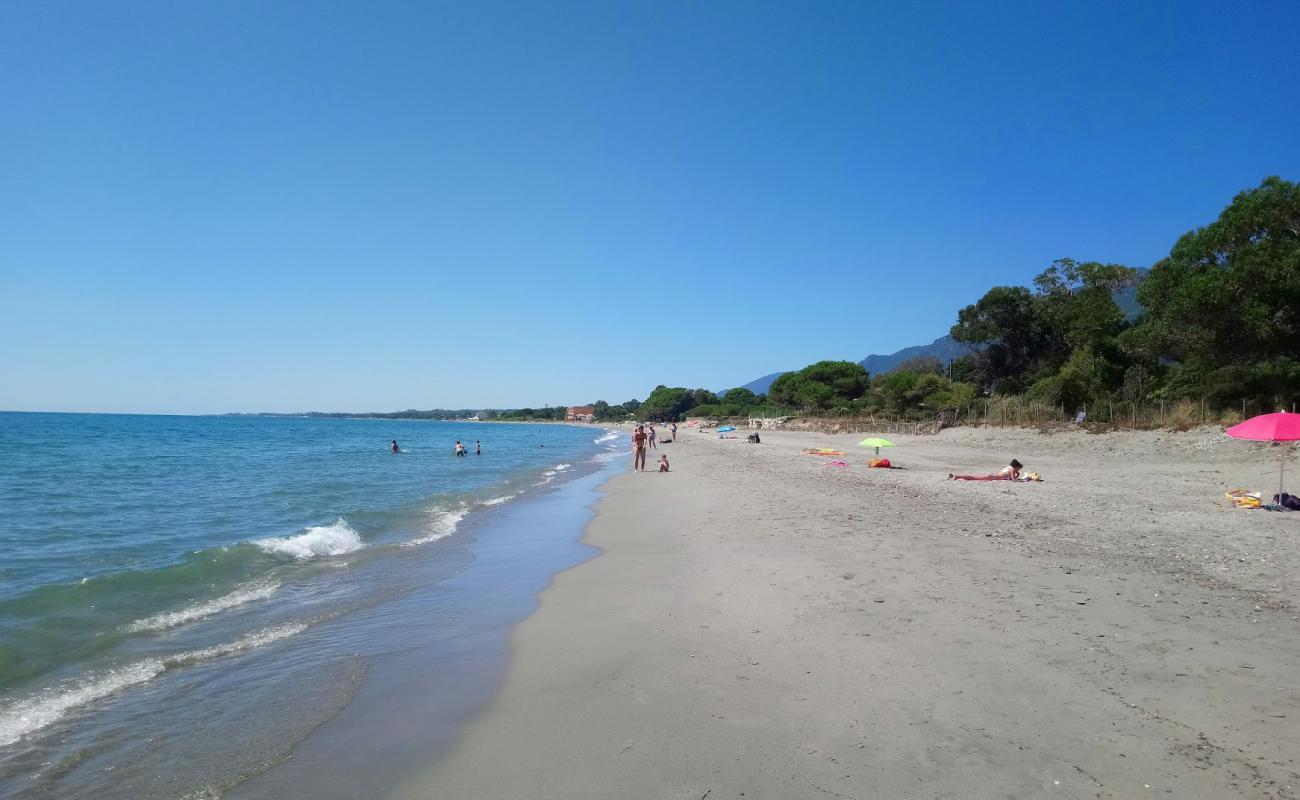 Photo de Ponticchio beach avec sable lumineux de surface