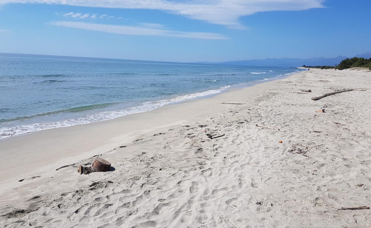 Photo de Plage de Casabianda avec sable lumineux de surface