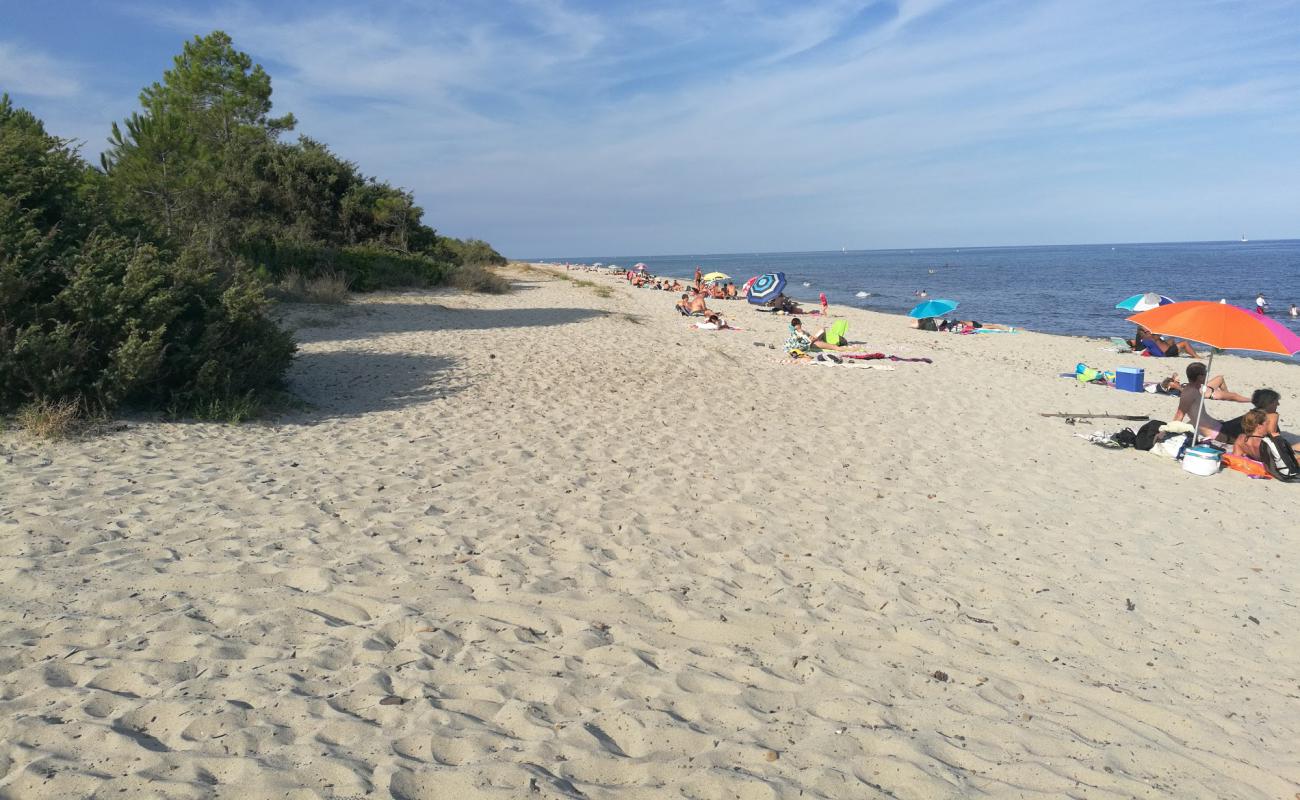 Photo de Plage Pinia avec sable fin et lumineux de surface