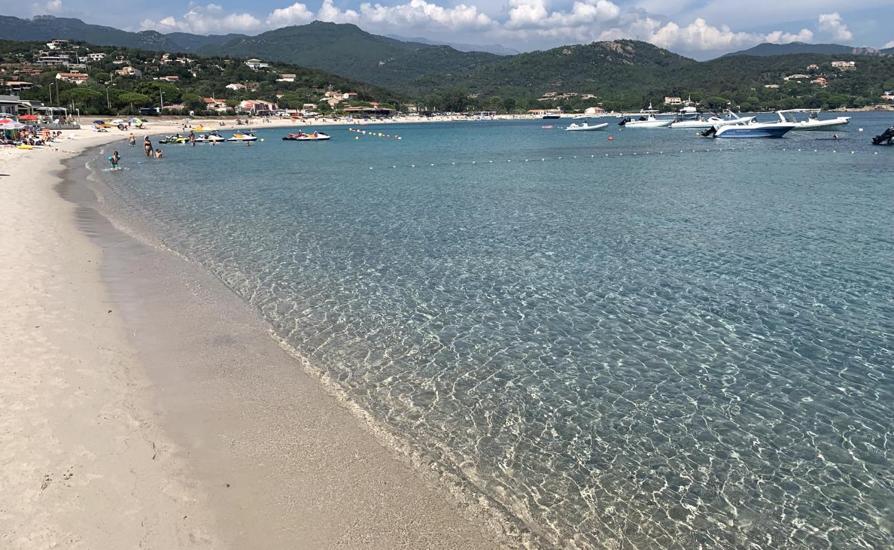 Photo de Plage de Favone avec sable lumineux de surface