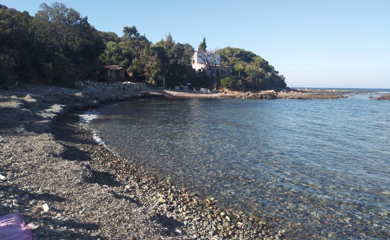 Photo de Plage Figa avec caillou gris de surface