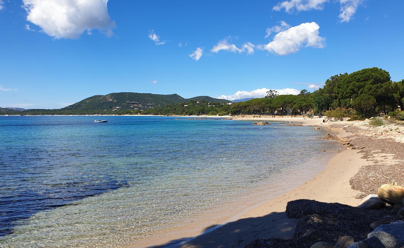 Photo de Plage de Vardiola avec sable lumineux de surface