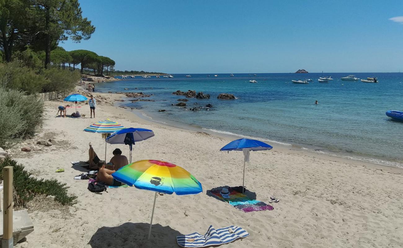 Photo de Plage de Vardiola II avec sable lumineux de surface