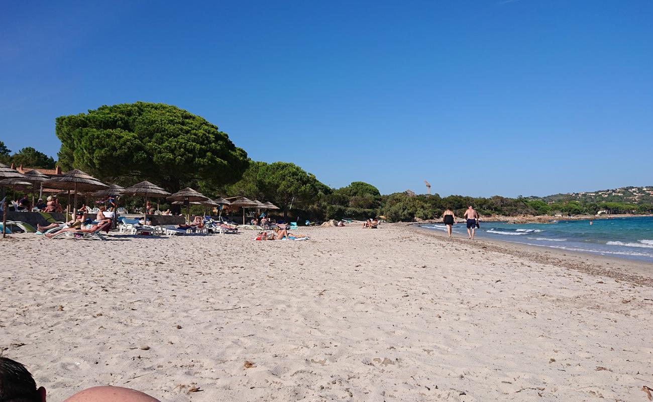 Photo de Plage de Pinarellu avec sable lumineux de surface