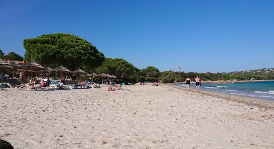 Plage de Pinarellu