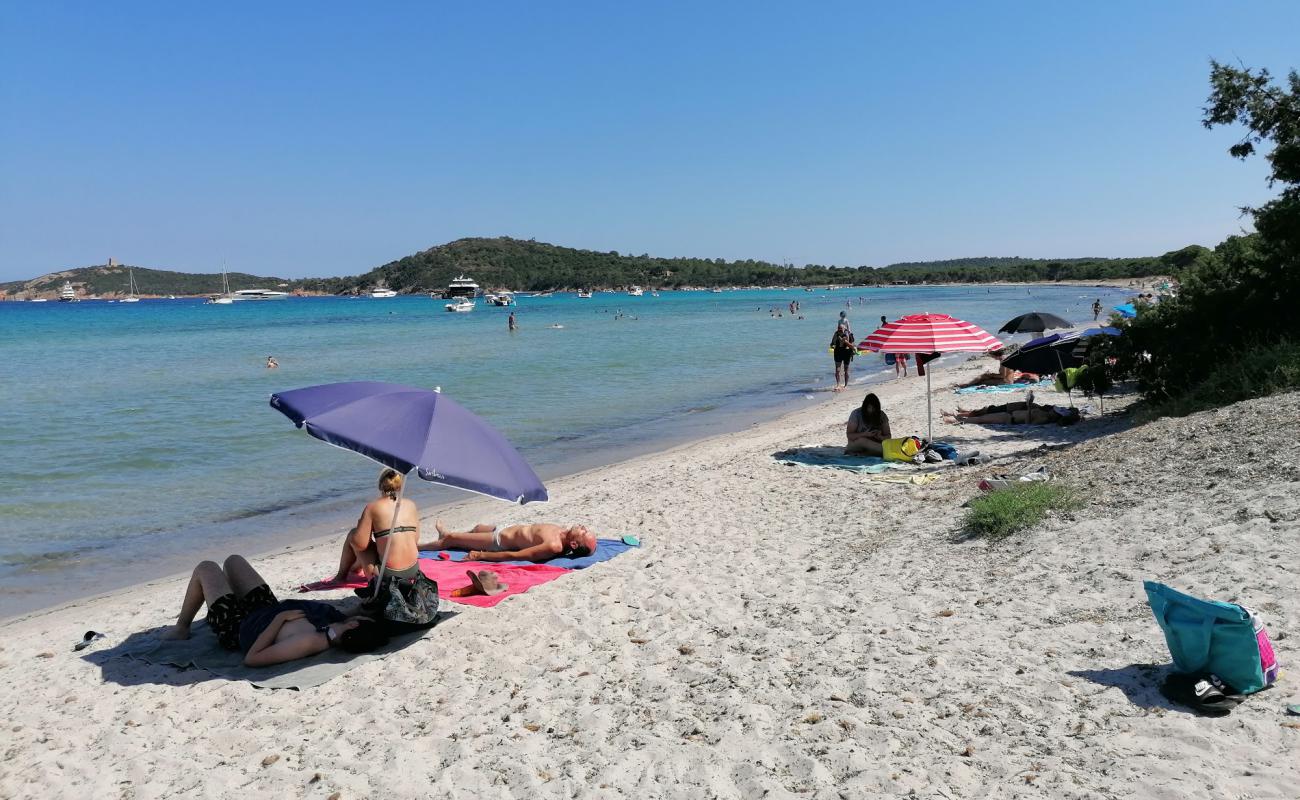 Photo de Plage de Pinarellu avec sable fin et lumineux de surface