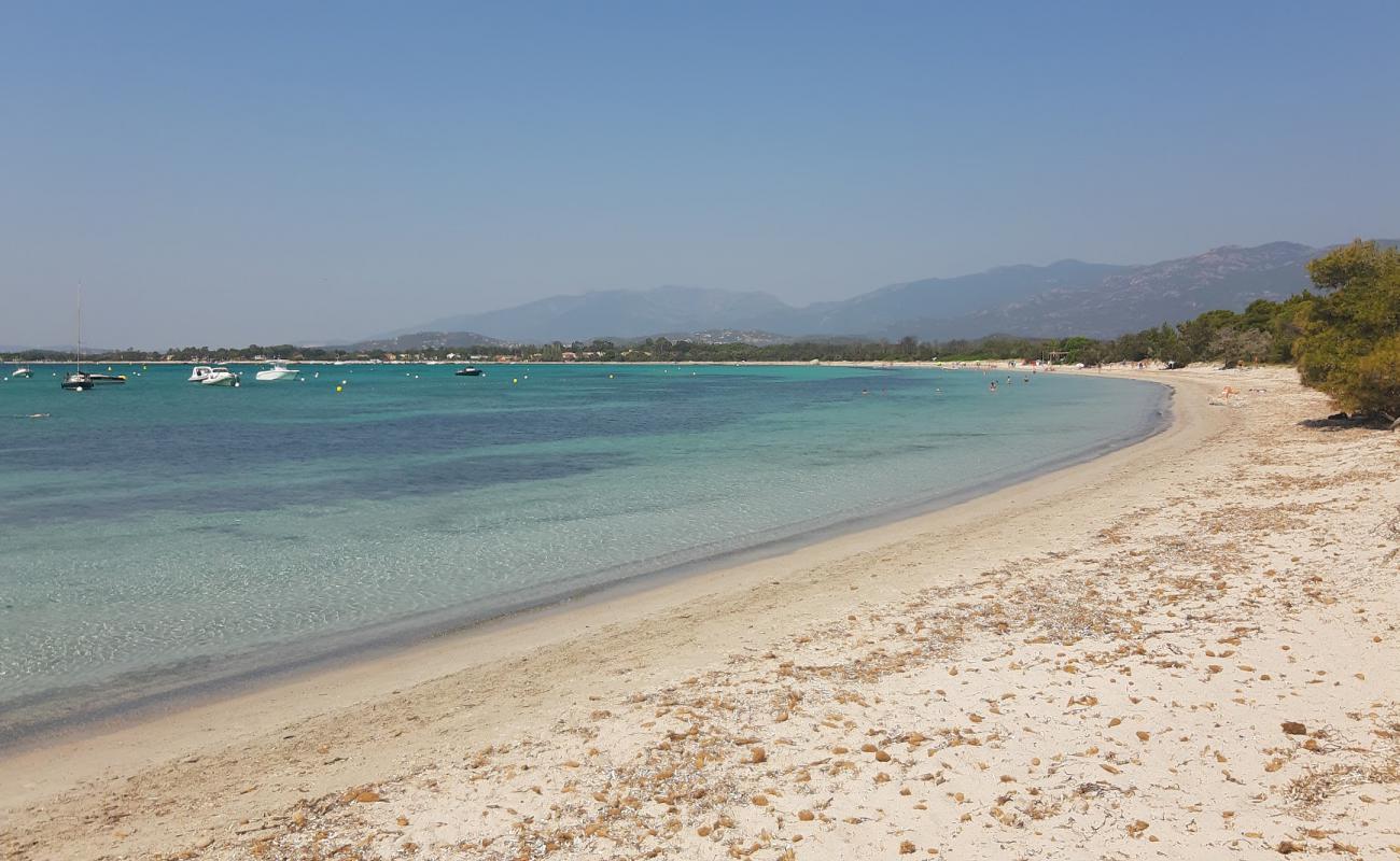 Photo de Plage de Pinarellu II avec sable fin et lumineux de surface