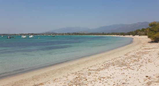 Plage de Pinarellu II