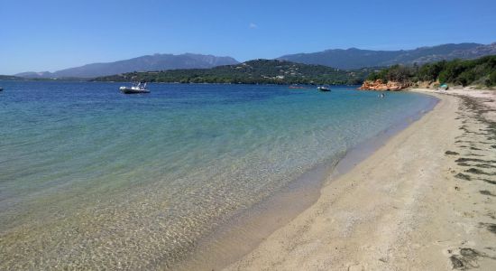 Plage Punta di Benedettu