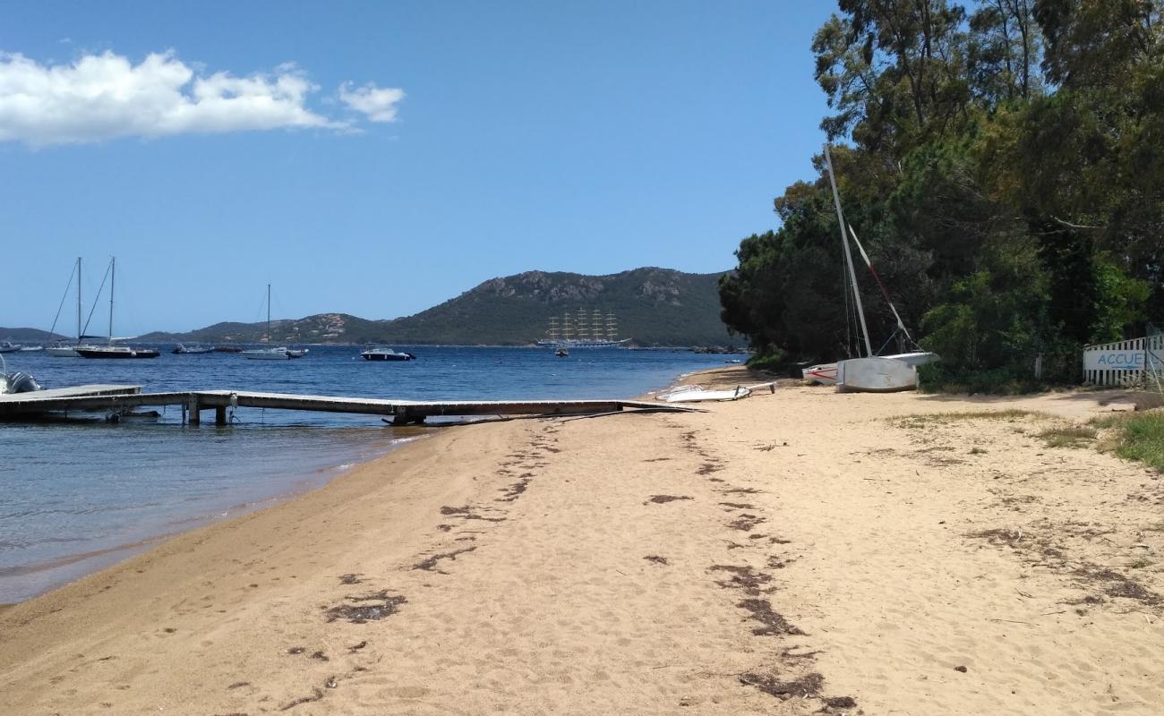 Photo de Plage Punta di Benedettu III avec sable fin brun de surface