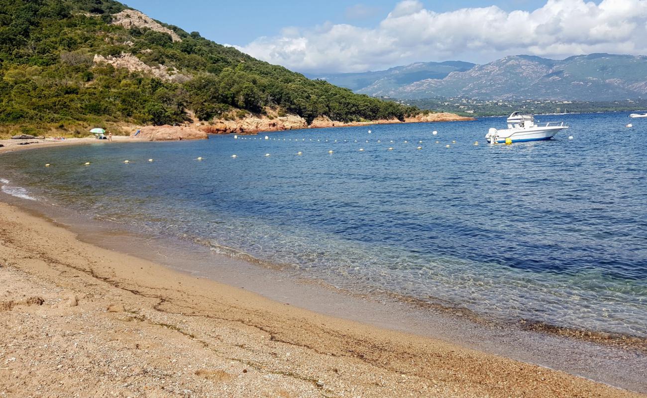 Photo de Wild beach avec sable beige de surface