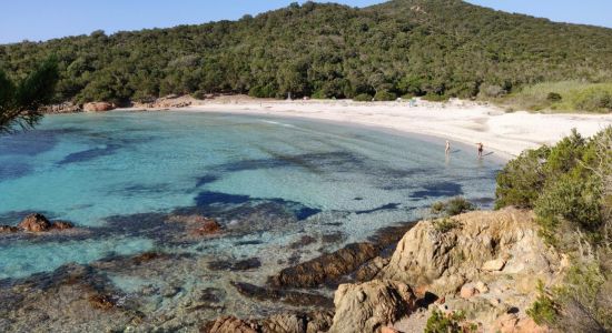 Plage De Carataggio