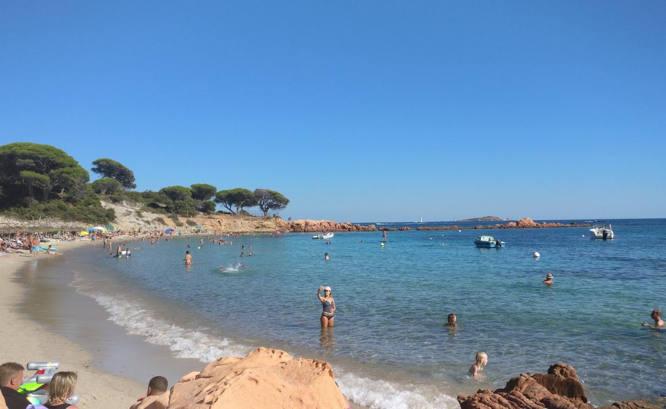 Photo de Plage de Palombaggia avec sable lumineux de surface