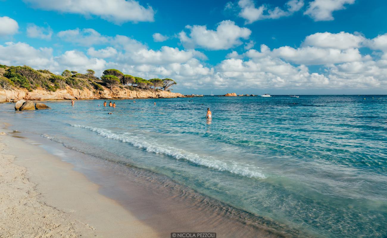 Photo de Plage d'Acciaju avec sable lumineux de surface