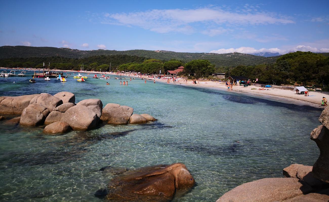 Photo de Plage de Santa Giulia avec sable lumineux de surface