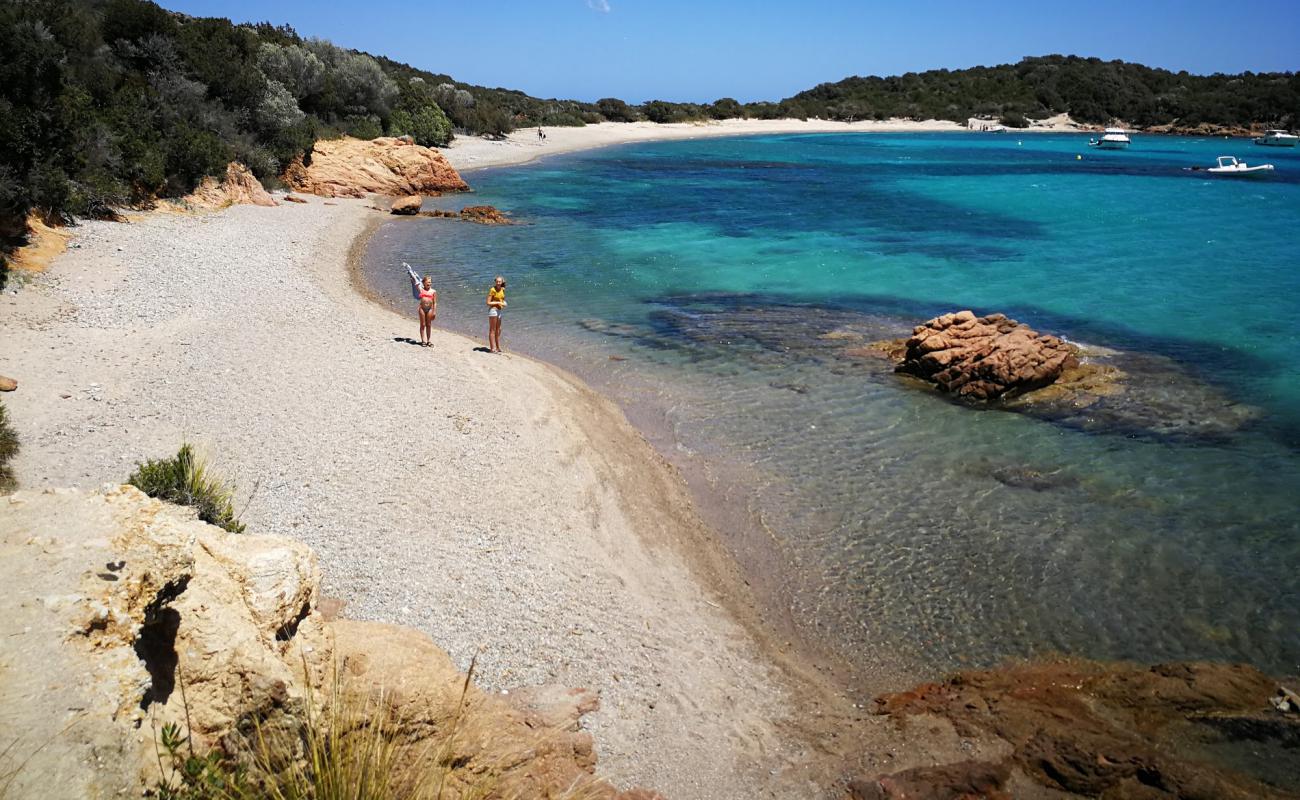 Photo de Plage de Rondinara II avec sable lumineux de surface