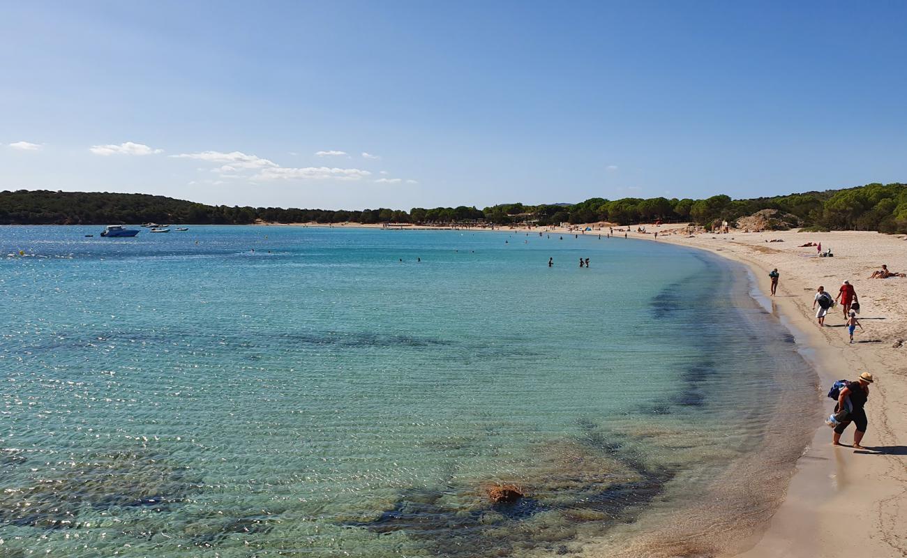 Photo de Plage de Rondinara avec sable lumineux de surface