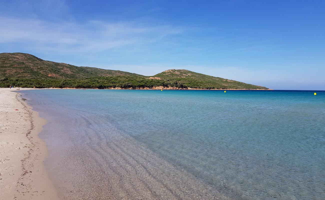 Photo de Plage de Balistra avec sable beige de surface
