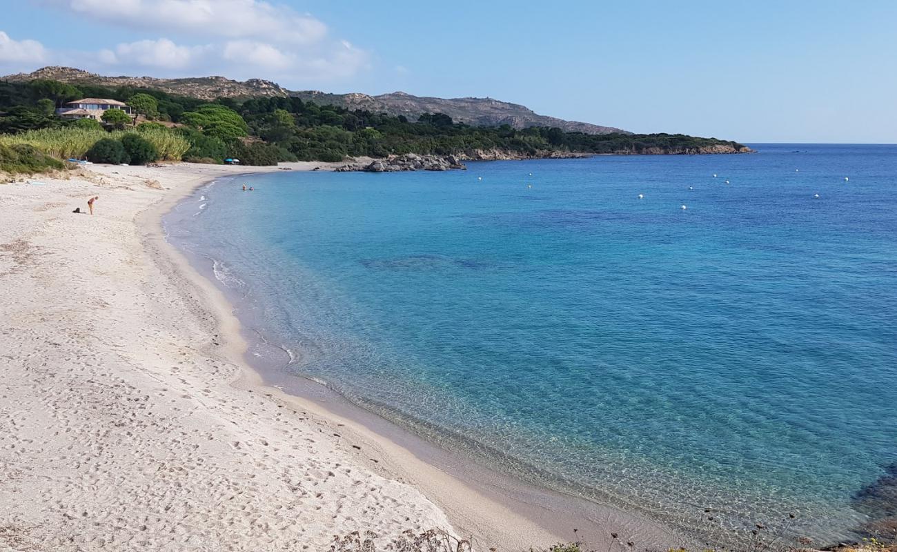 Photo de Plage de Cala longa III avec sable beige de surface