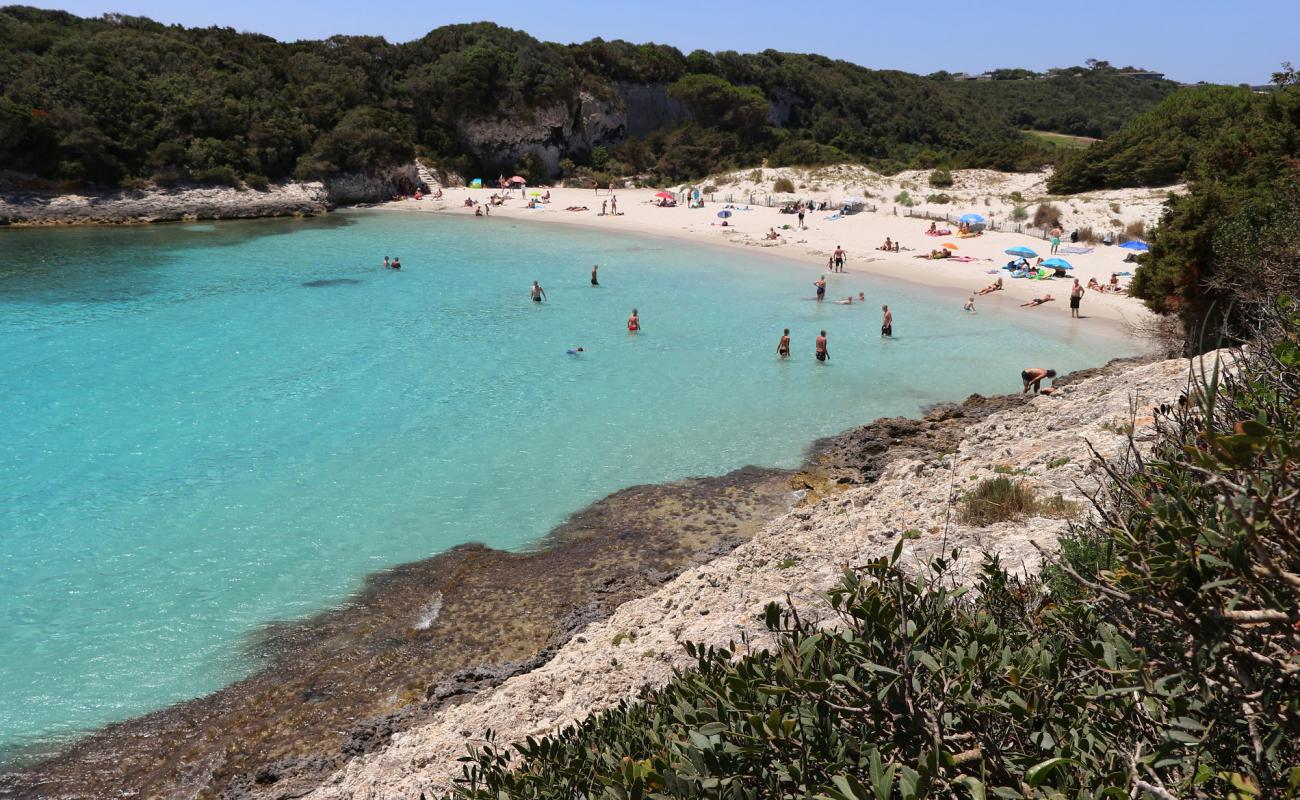 Photo de Plage de Petit Sperone avec sable fin et lumineux de surface