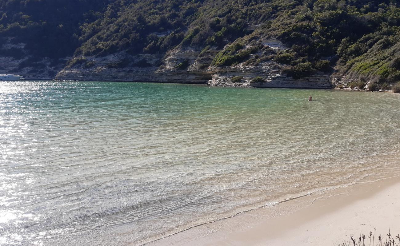Photo de La Cayenne beach avec sable beige de surface