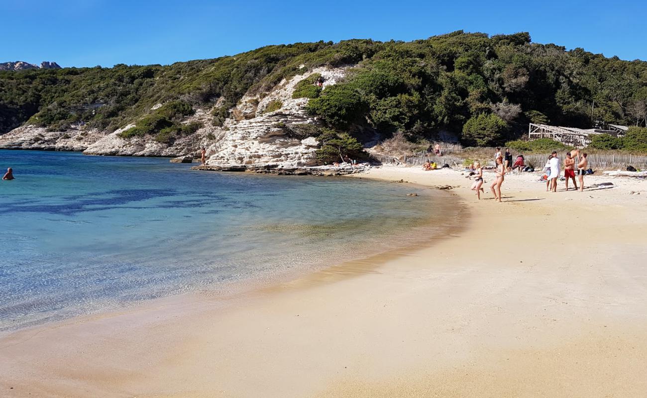 Photo de Fazzio beach avec sable beige de surface
