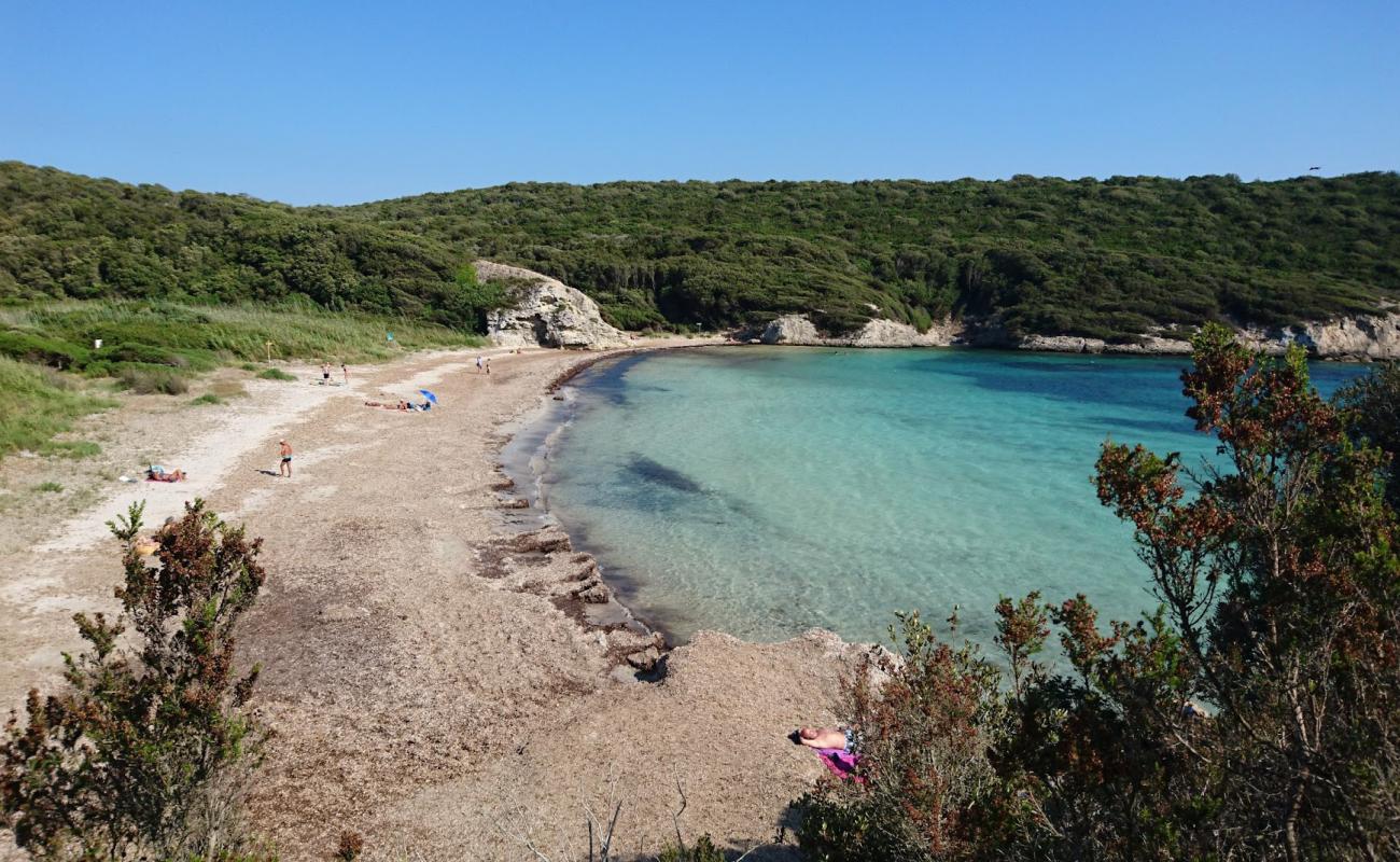 Photo de Paraguan beach avec caillou clair de surface