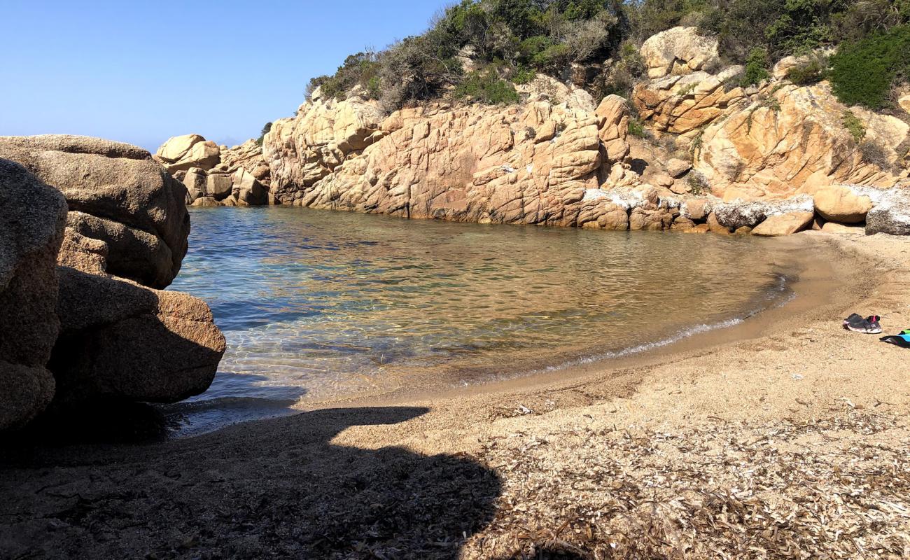 Photo de Cala di Paragnano avec sable lumineux de surface