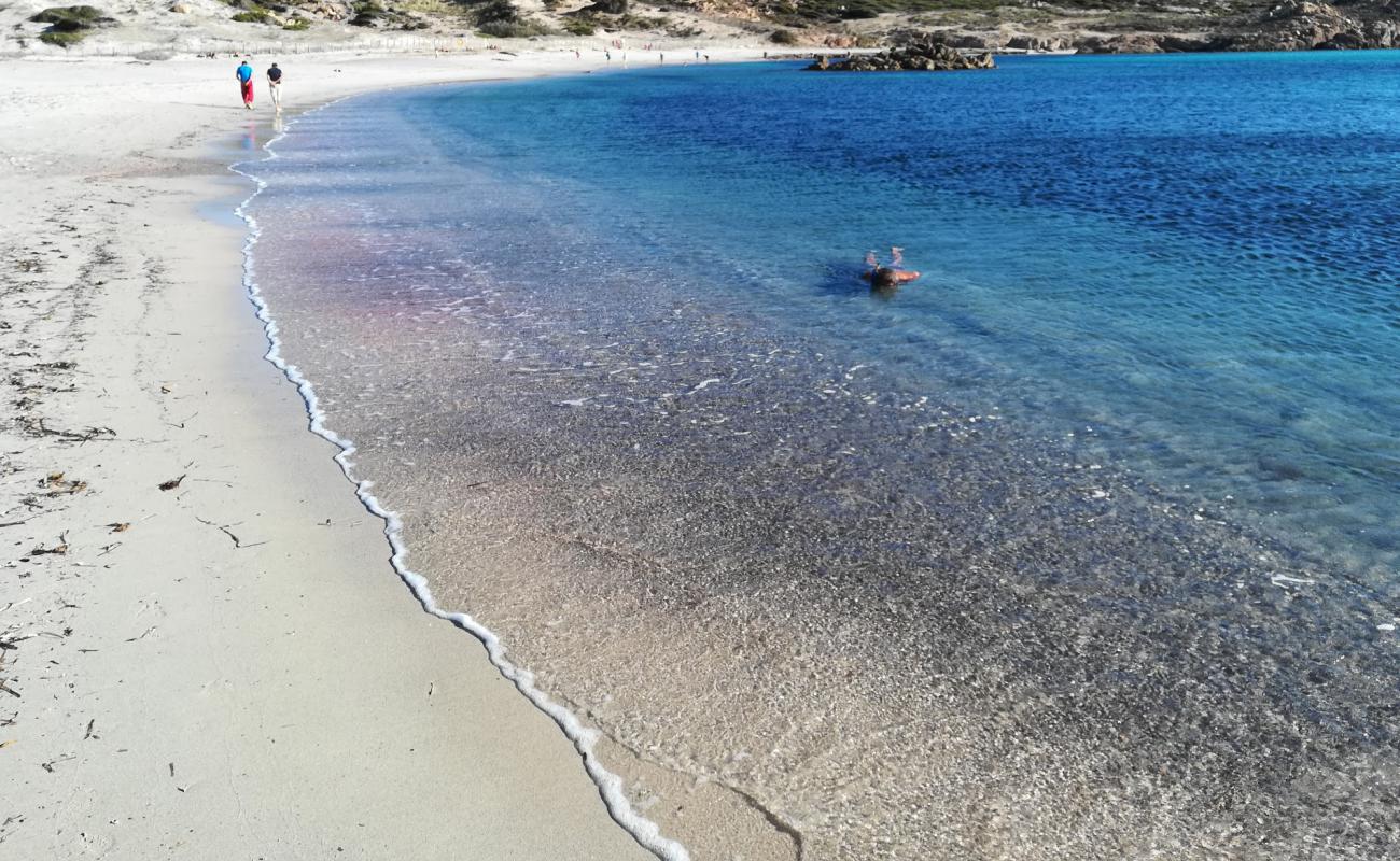 Photo de Cala Stagnolu avec sable beige de surface