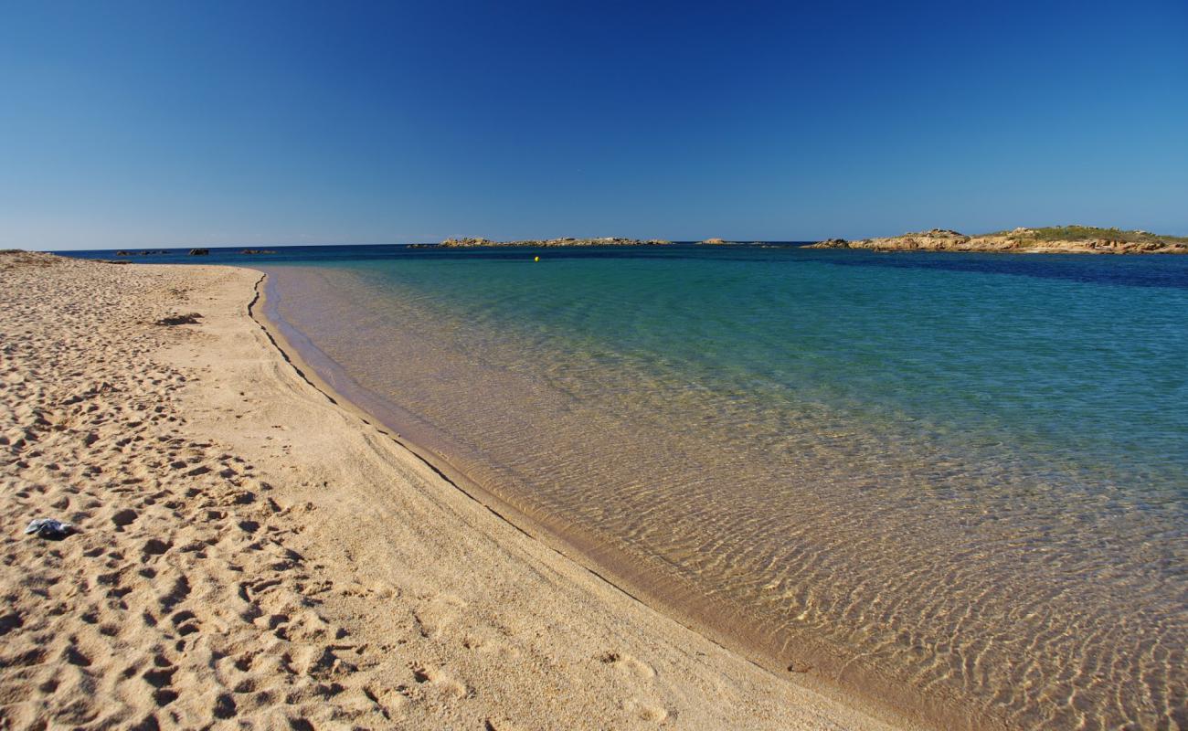 Photo de Tonnara beach avec sable fin et lumineux de surface