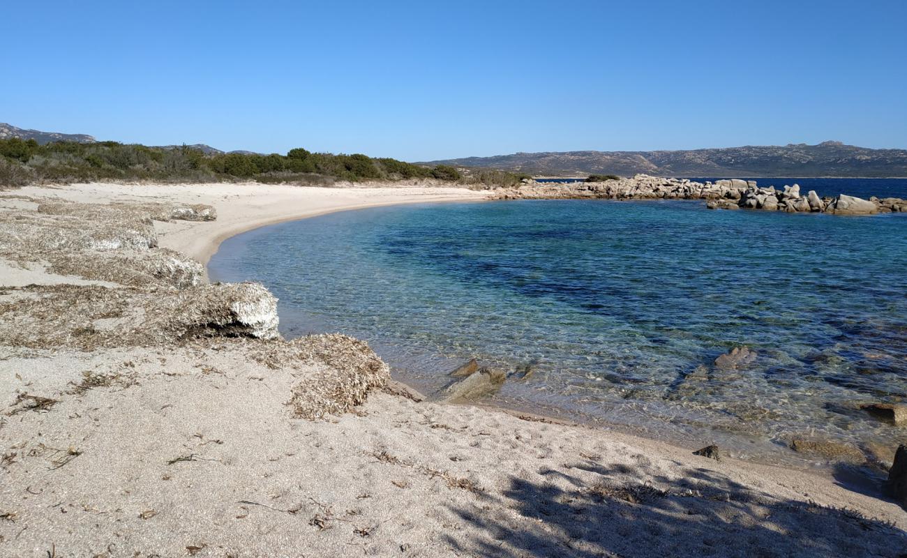 Photo de La Testa beach III avec sable lumineux de surface