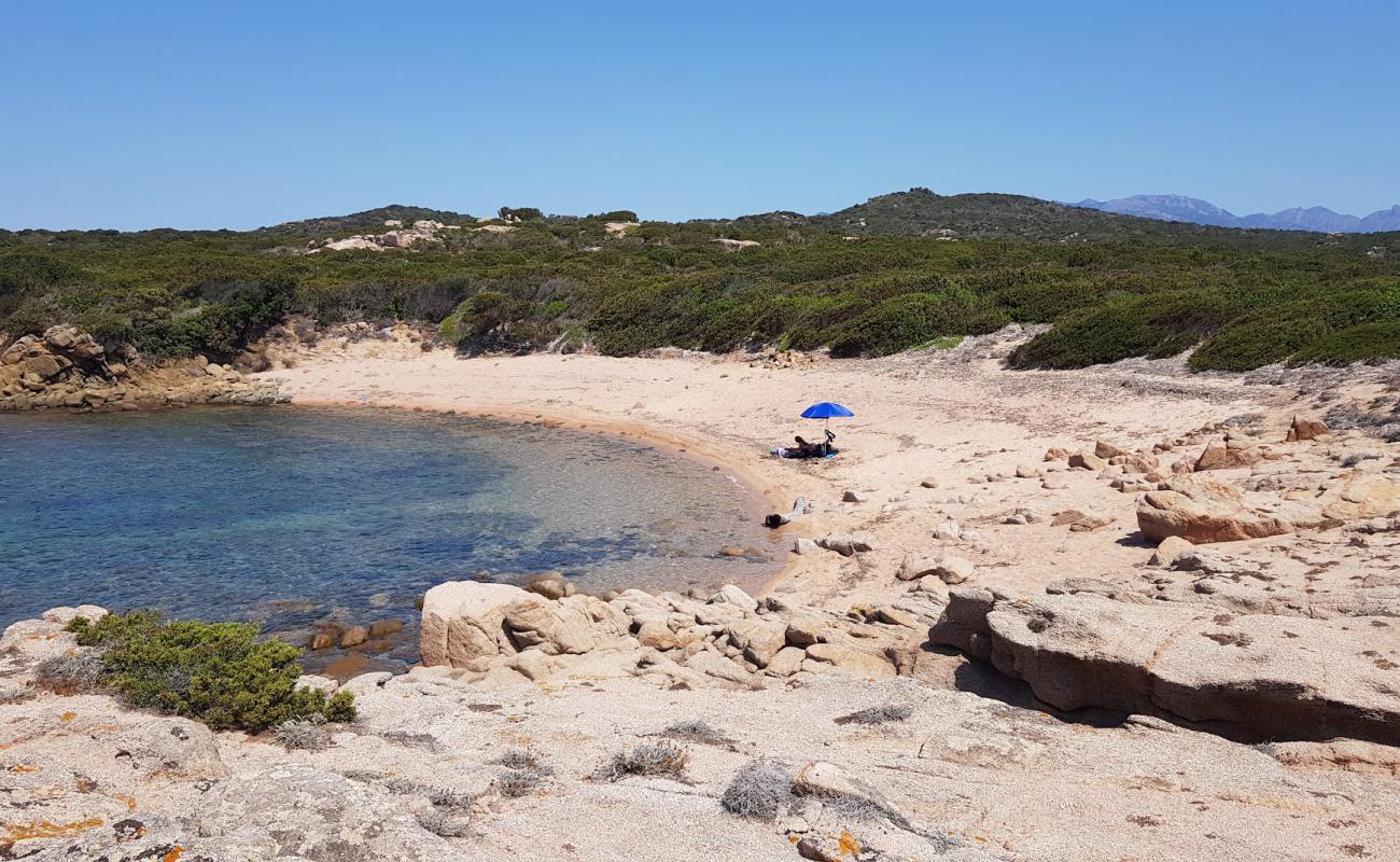 Photo de La Testa beach VII avec sable lumineux de surface