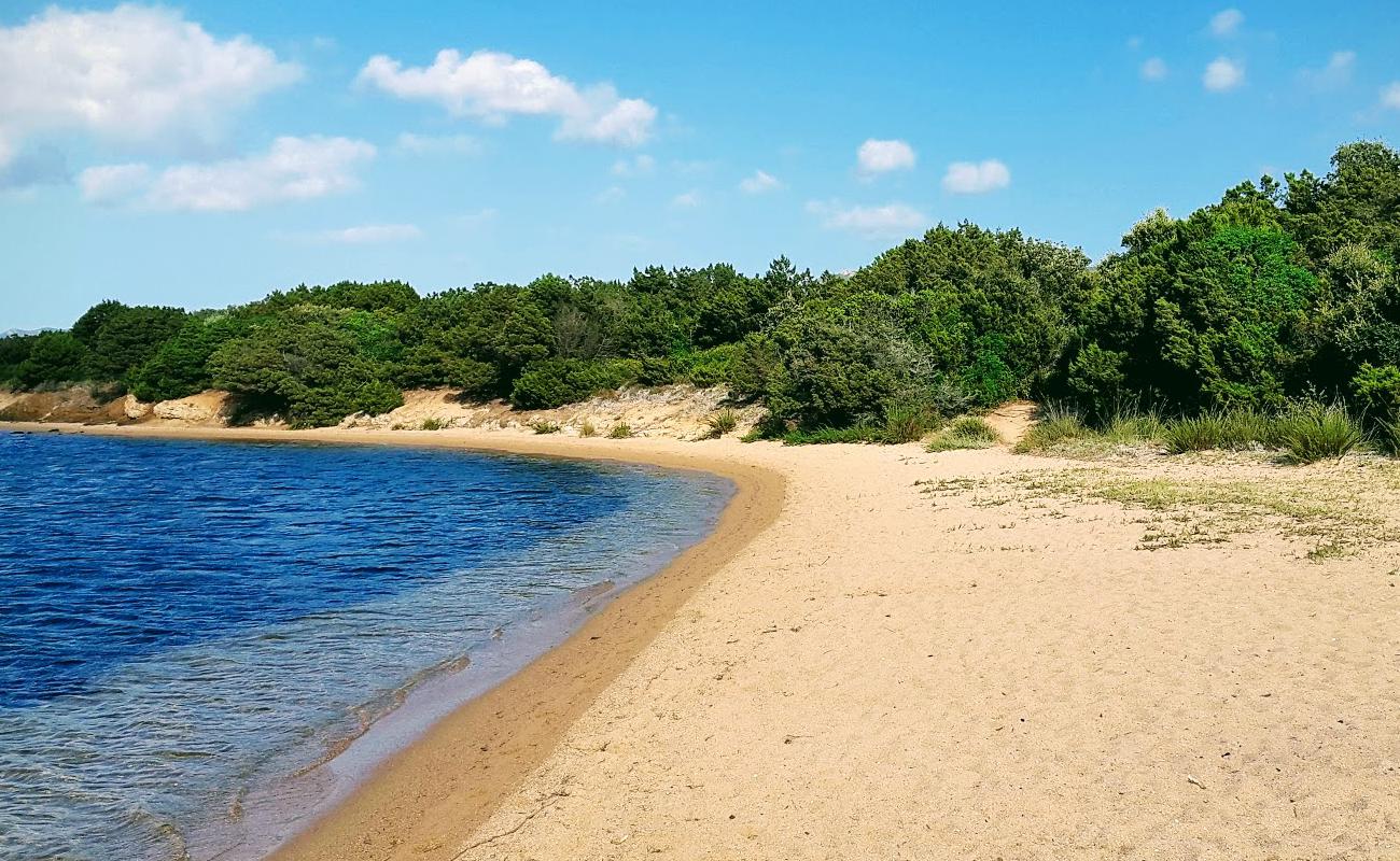 Photo de Figari beach avec sable fin et lumineux de surface