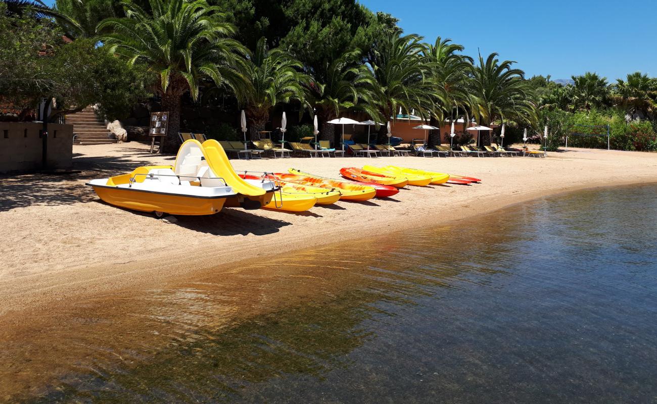 Photo de Port de Figari avec sable lumineux de surface