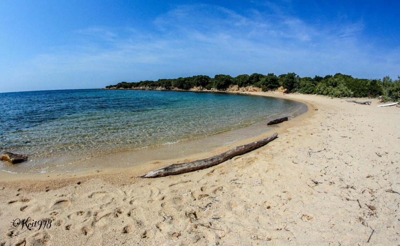 Photo de Arbitru beach avec sable lumineux de surface