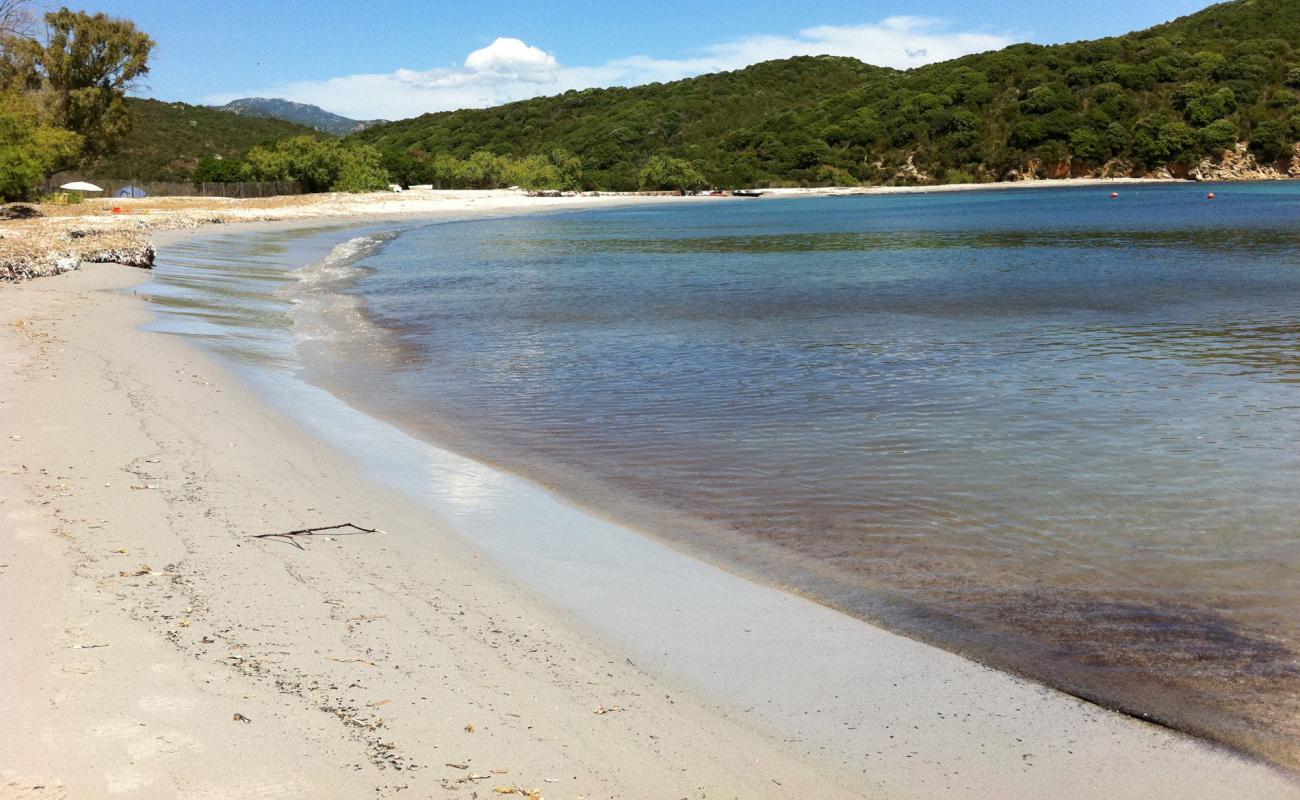 Photo de Plage de Furnellu II avec sable lumineux de surface