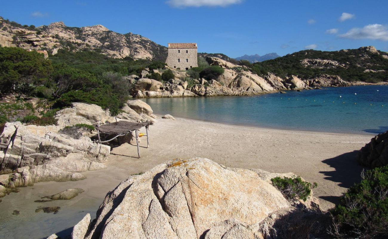 Photo de Murtoli beach avec sable fin et lumineux de surface