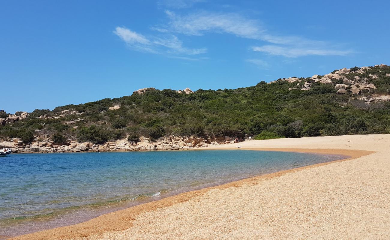 Photo de Cala Di Tivella avec sable lumineux de surface