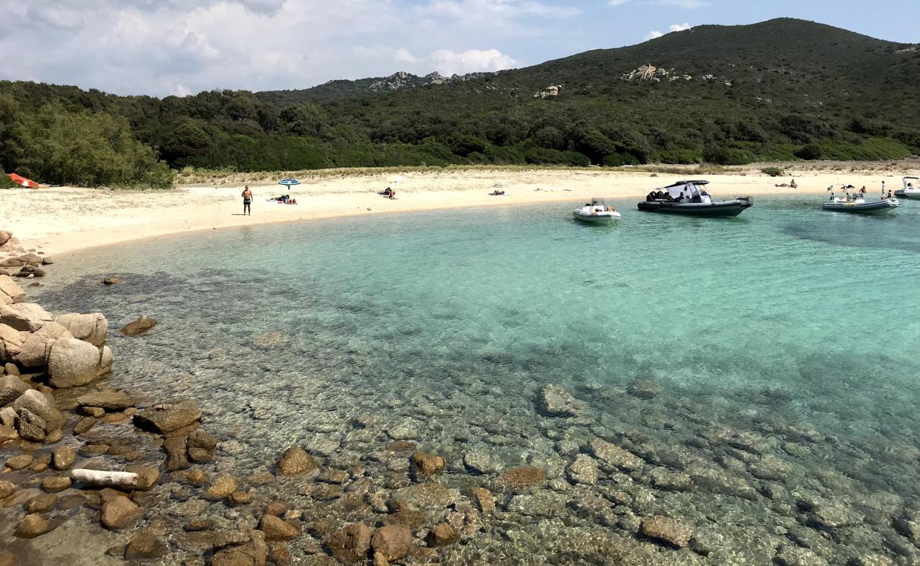 Photo de Cala di Conca avec sable lumineux de surface