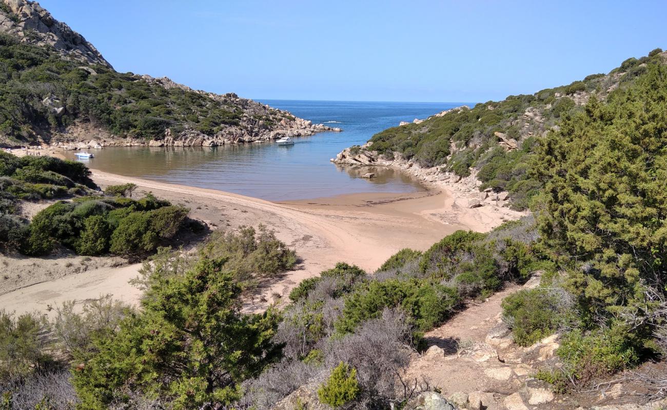 Photo de Cala D'agulia avec sable fin et lumineux de surface