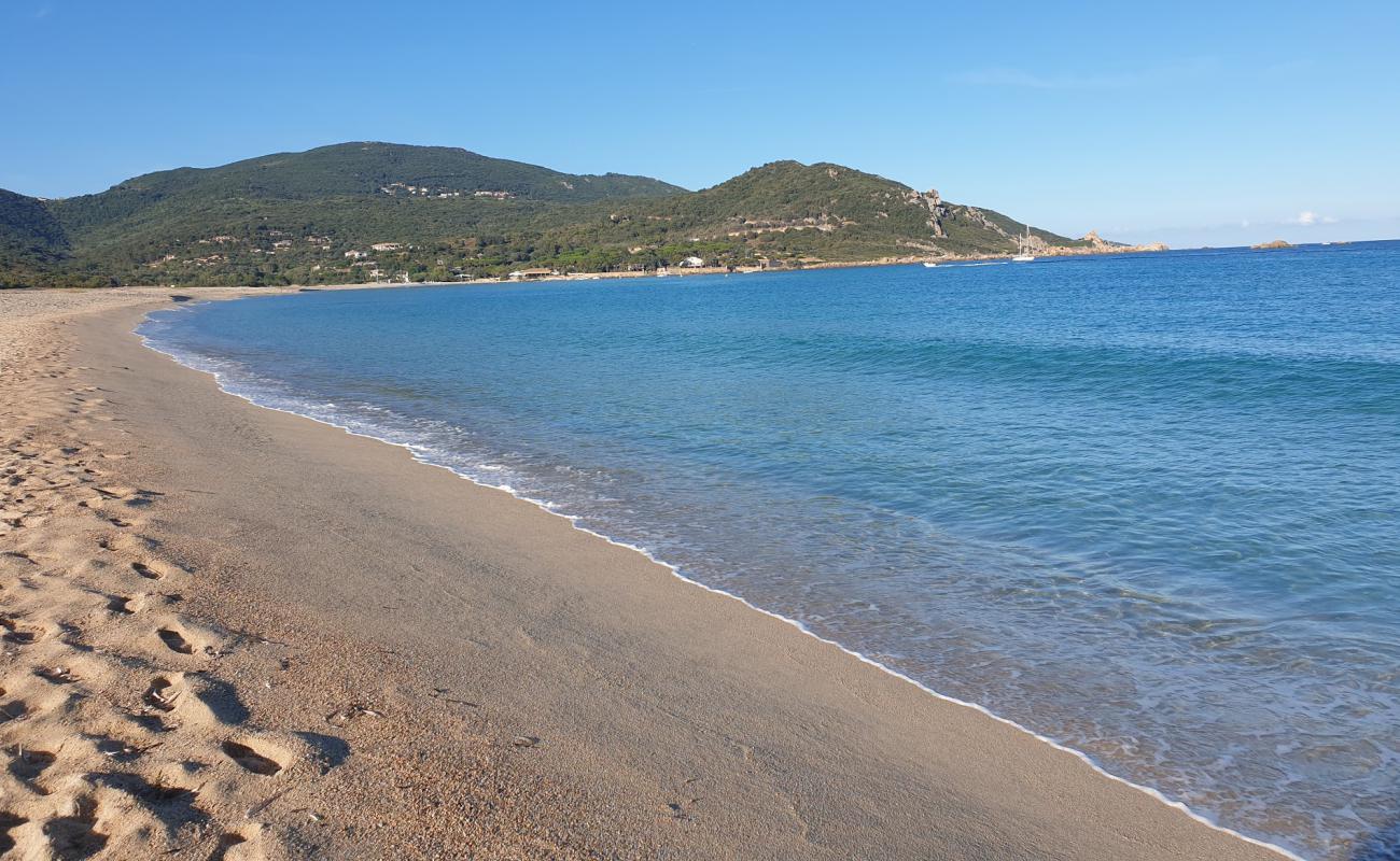 Photo de Portigliolo beach avec sable fin et lumineux de surface