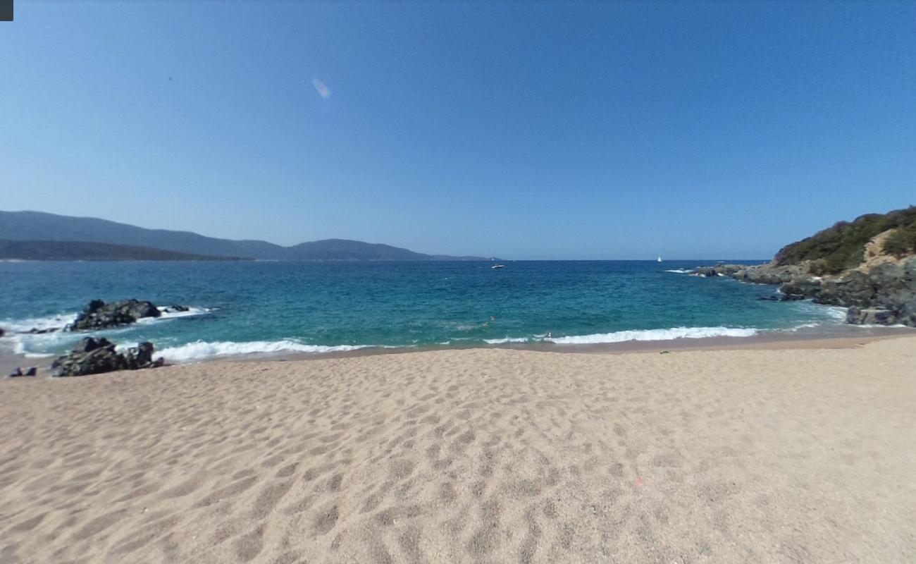 Photo de Turra di a Calanca avec l'eau cristalline de surface